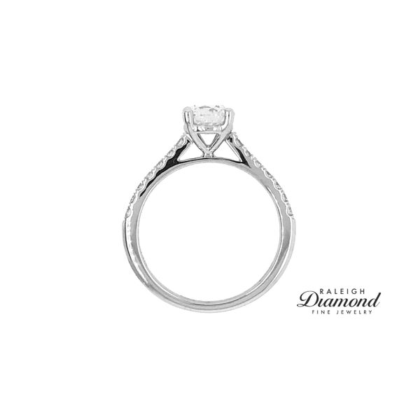 14K White Gold 0.23cttw Fishtail Cathedral Diamond Semi-mount Engagement Ring Image 3 Raleigh Diamond Fine Jewelry Raleigh, NC