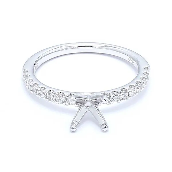 14K White Gold 0.33ctw Diamond Accented Semi-mount Engagement Ring Raleigh Diamond Fine Jewelry Raleigh, NC