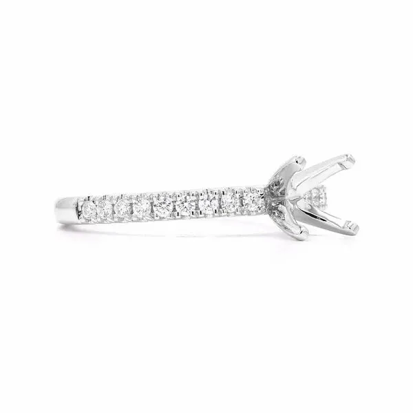 14K White Gold 0.21ctw Semi with Accented Shank Image 3 Raleigh Diamond Fine Jewelry Raleigh, NC