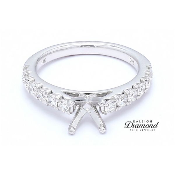 14K White Gold 0.60ctw Diamond Accented Cathedral Semi-mount Engagement Ring Raleigh Diamond Fine Jewelry Raleigh, NC