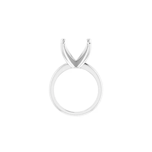 14K White Gold Engagement Ring Mounting for RBC 10ct Image 3 Raleigh Diamond Fine Jewelry Raleigh, NC