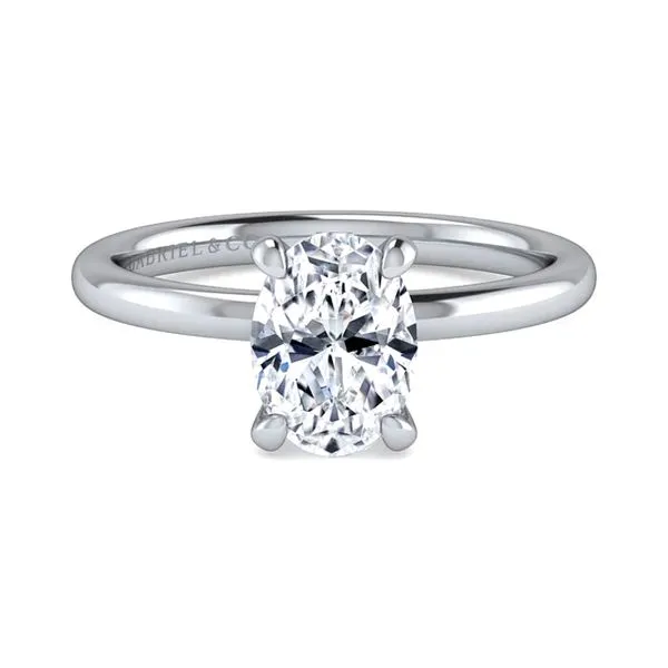 Platinum 0.06ctw G-H/SI2 Hidden Halo Oval Diamond Engagement Ring Raleigh Diamond Fine Jewelry Raleigh, NC