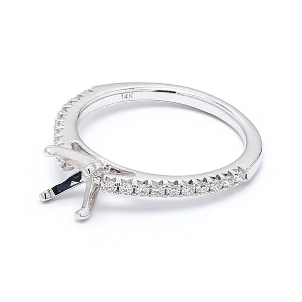 14K White Gold 0.25ctw Diamond Accented Cathedral Semi-mount Engagement Ring Image 2 Raleigh Diamond Fine Jewelry Raleigh, NC