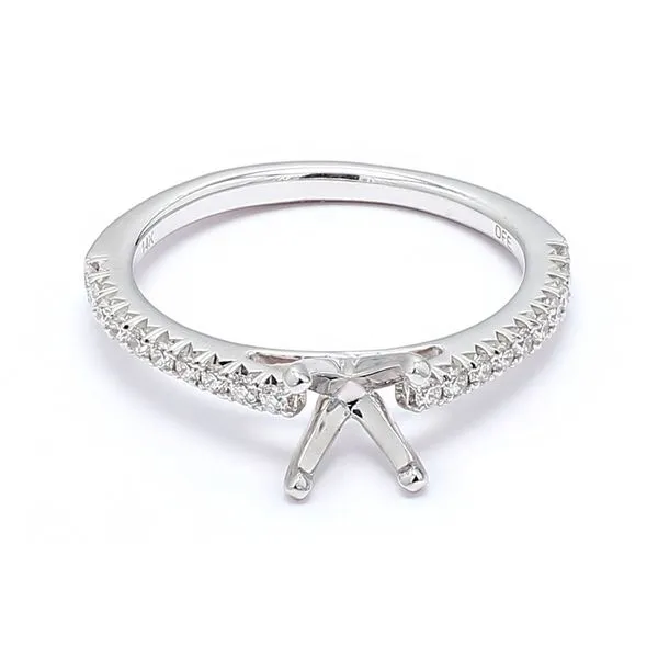 14K White Gold 0.25ctw Diamond Accented Cathedral Semi-mount Engagement Ring Raleigh Diamond Fine Jewelry Raleigh, NC