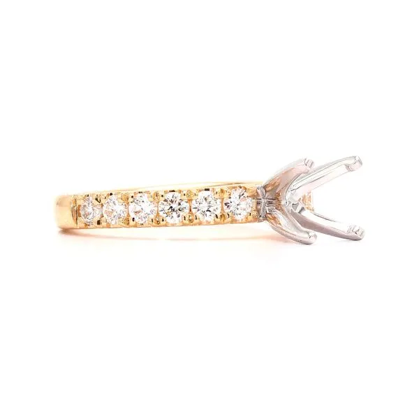 RD Classic Signature 14K Yellow Gold 0.59ctw Semi-mount with Accented Shank Image 3 Raleigh Diamond Fine Jewelry Raleigh, NC