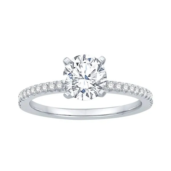 Platinum 1/8ctw Diamond Semi-Mount Size 6 Raleigh Diamond Fine Jewelry Raleigh, NC