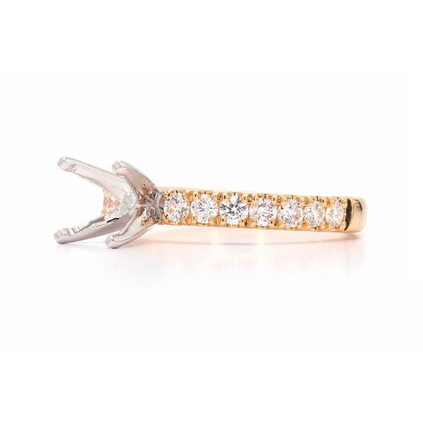 RD Classic Signature 14K Yellow Gold 0.50ctw Semi with Accented Shank Size 6 Image 3 Raleigh Diamond Fine Jewelry Raleigh, NC