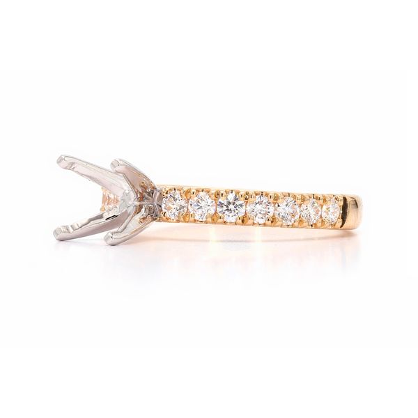 RD Classic Signature 14K Yellow Gold 0.50ctw Accented Shank Diamond Semi-mount Ring Setting Sz 6 Image 3 Raleigh Diamond Fine Jewelry Raleigh, NC