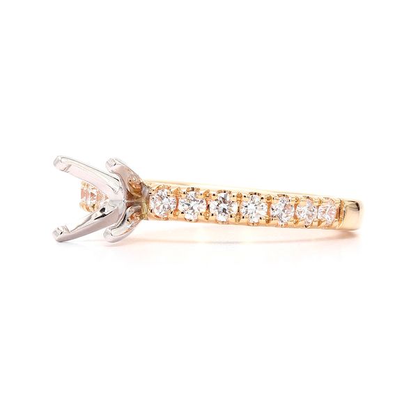 RD Classic Signature 14K Yellow Gold 0.42ctw Diamond Semi-mount Accented Shank Sz 6 Image 2 Raleigh Diamond Fine Jewelry Raleigh, NC