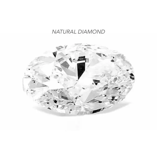 Natural Diamond 1.01ct E/SI1 Oval GIA Certified Raleigh Diamond Fine Jewelry Raleigh, NC