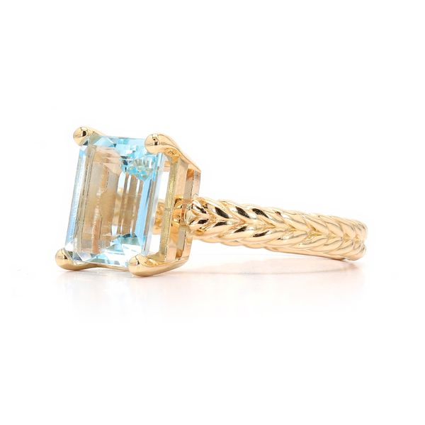 14K White Gold 4.00ct Aquamarine Rope Solitaire Ring Image 2 Raleigh Diamond Fine Jewelry Raleigh, NC