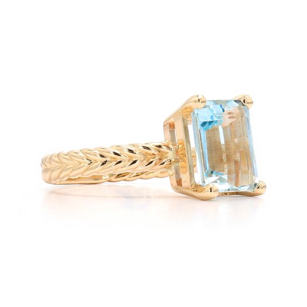 14K White Gold 4.00ct Aquamarine Rope Solitaire Ring Image 3 Raleigh Diamond Fine Jewelry Raleigh, NC
