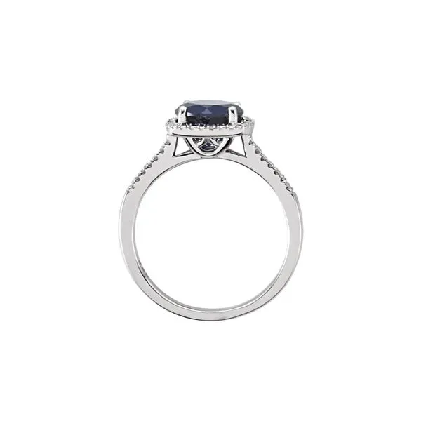 Sterling Silver 0.01ctw Diamond Accent Lab Blue Sapphire September Birthstone Ring Size 7 Image 2 Raleigh Diamond Fine Jewelry Raleigh, NC