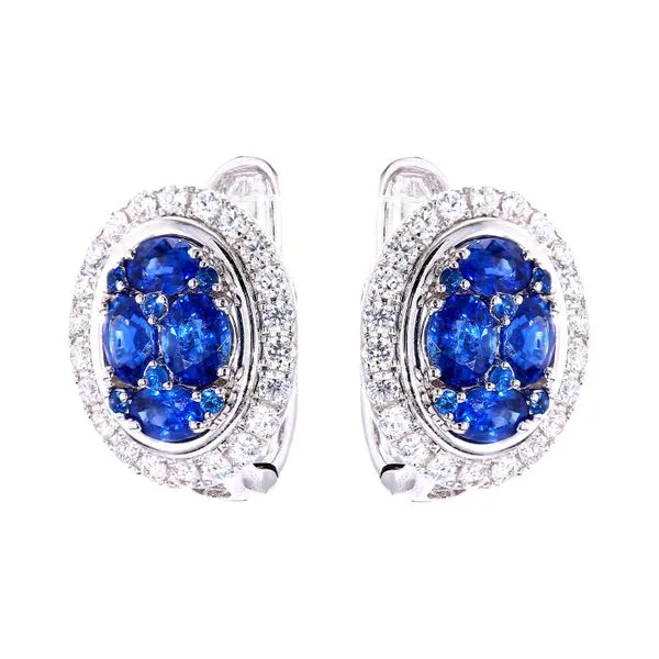 14K White Gold 2.75ctw Sapphire + 0.75ctw Diamond Earrings Raleigh Diamond Fine Jewelry Raleigh, NC