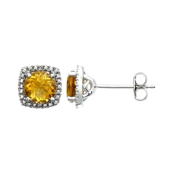 Sterling Silver 0.015ctw Diamonds Garnet January Birthstone Stud Earrings Raleigh Diamond Fine Jewelry Raleigh, NC