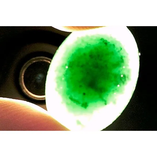 GIA Loose Colored Gemstone 2.89ct Black/Deep Green Translucent Cabochon Omphacite - GIA Certified Image 2 Raleigh Diamond Fine Jewelry Raleigh, NC