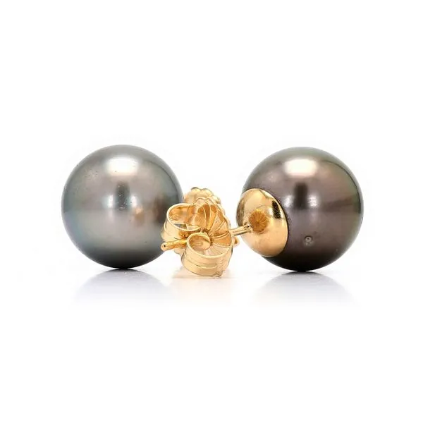 18K Yellow Gold Tahitian Pearl Stud Earrings Raleigh Diamond Fine Jewelry Raleigh, NC