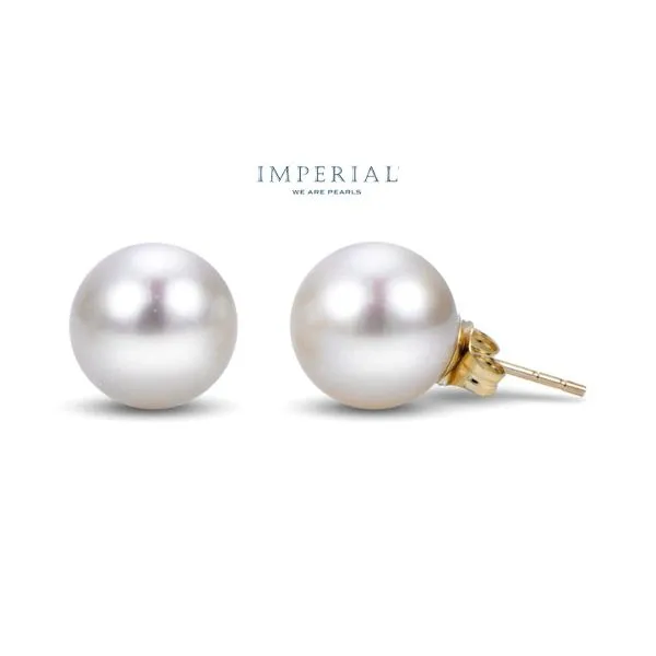 14KYellow Gold 8mm Akoya Cultured Pearl Stud Earrings Raleigh Diamond Fine Jewelry Raleigh, NC
