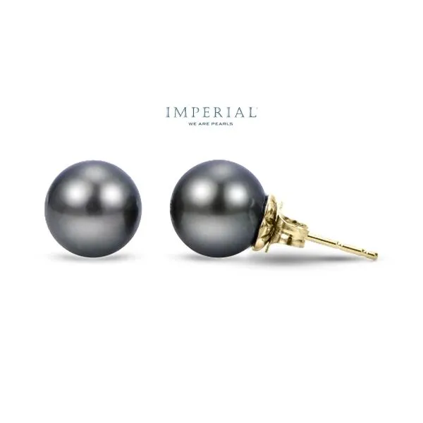 14K Yellow Gold 8-9mm Tahitian Studs Pearl Earrings Raleigh Diamond Fine Jewelry Raleigh, NC