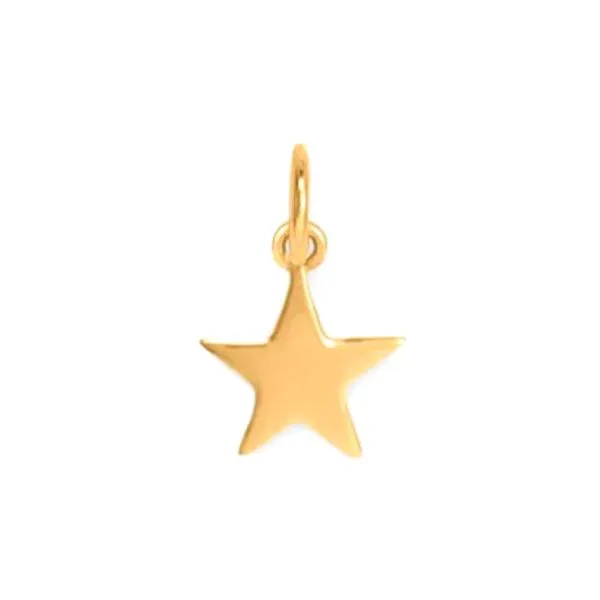 14K Yellow Gold Engravable Tiny Star Charm Raleigh Diamond Fine Jewelry Raleigh, NC