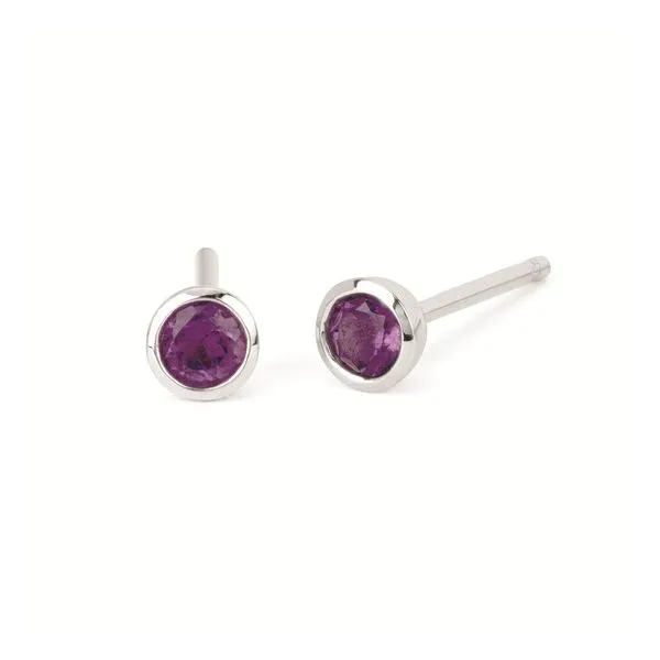 Amethyst Earrings Rasmussen Diamonds Mount Pleasant, WI