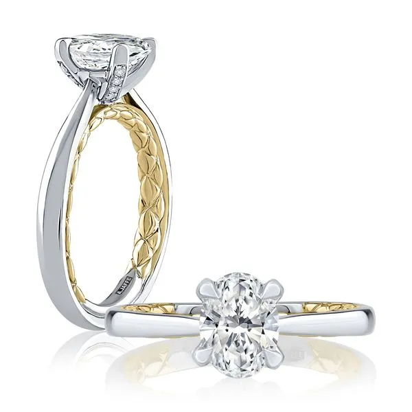 Gabriel & Co. Sample engagement ring line Rasmussen Diamonds Mount Pleasant, WI