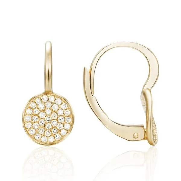 Diamond Earrings Rasmussen Jewelers Spanish Fork, UT