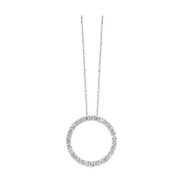White Gold Diamond Circle Pendant Rasmussen Jewelers Spanish Fork, UT