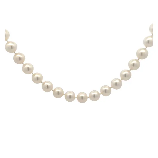 THE PEARL NECKLACE❤︎洋書 THE PEARL NECKLACE❤︎洋書 Pearl THE PEARL NECKLACE❤︎洋書 THE PEARL NECKLACE❤︎洋書 Pearl