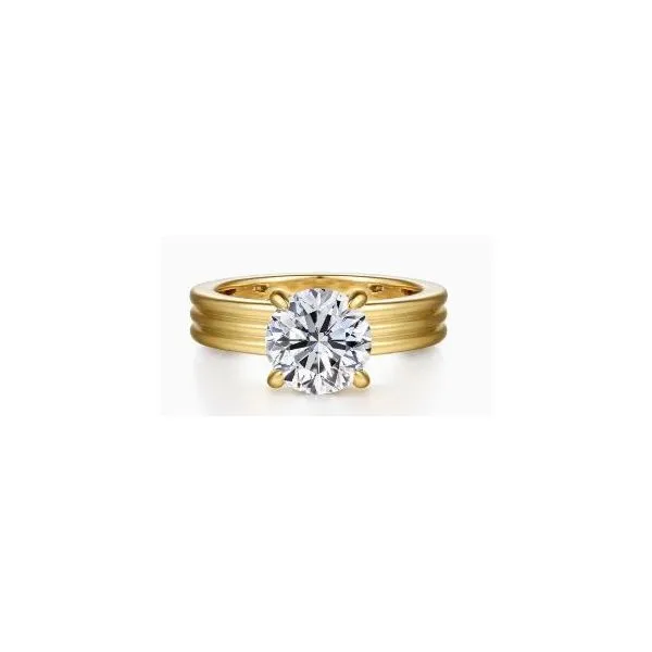 Engagement Ring Ray Jewelers Elmira, NY