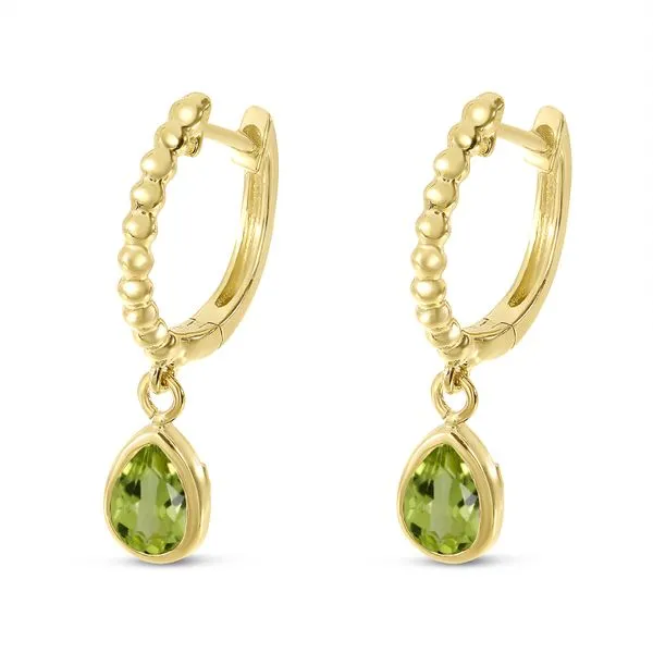 Earrings Image 2 Ray Jewelers Elmira, NY