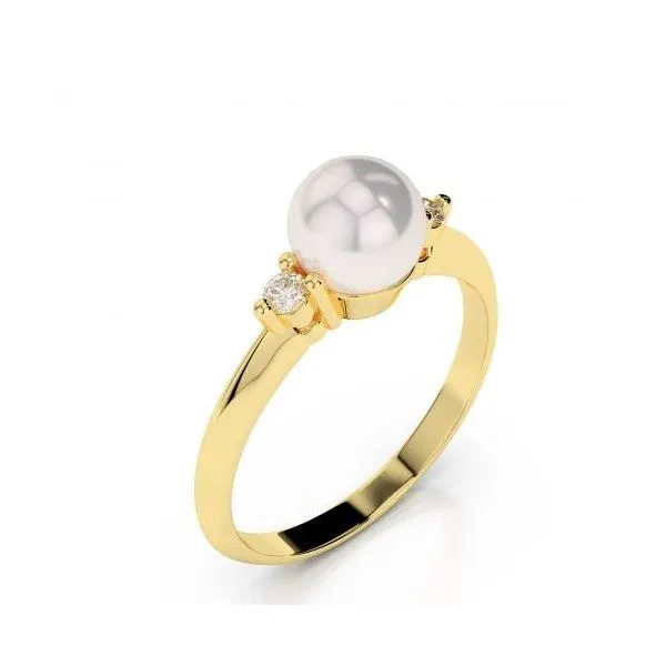 001-300-00106 Ray Jewelers Elmira, NY