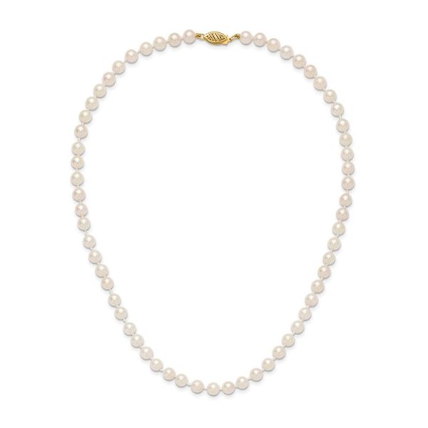 Jewelry Ray Jewelers Elmira, NY