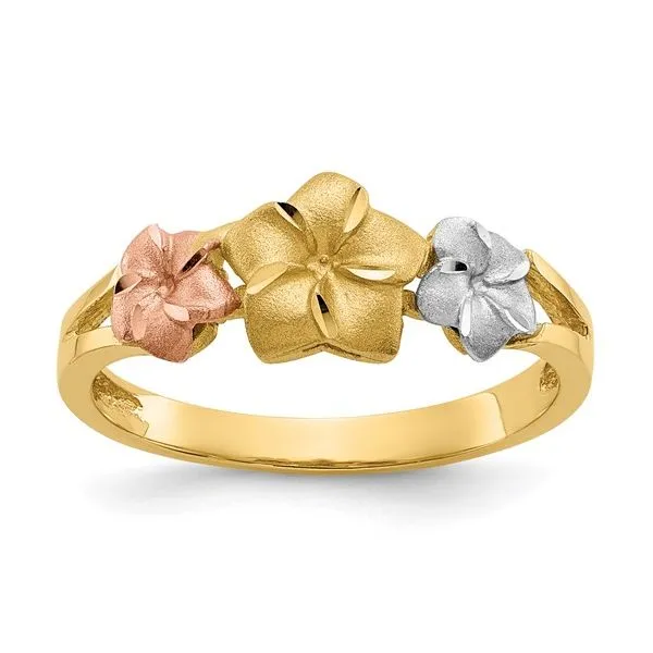 Fashion Ring Ray Jewelers Elmira, NY