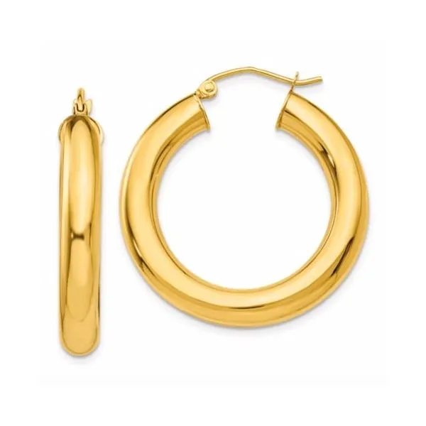 Earrings Ray Jewelers Elmira, NY