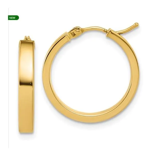 Earrings Ray Jewelers Elmira, NY
