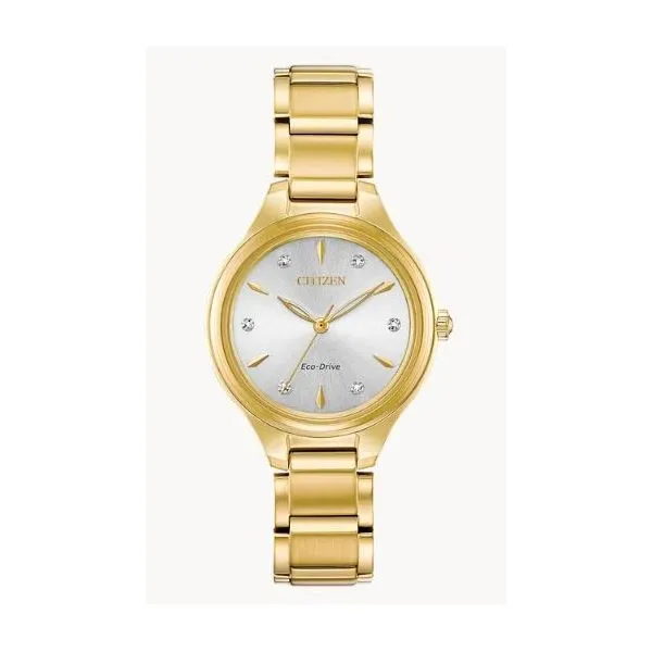 Watch Ray Jewelers Elmira, NY