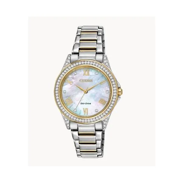 Watch Ray Jewelers Elmira, NY