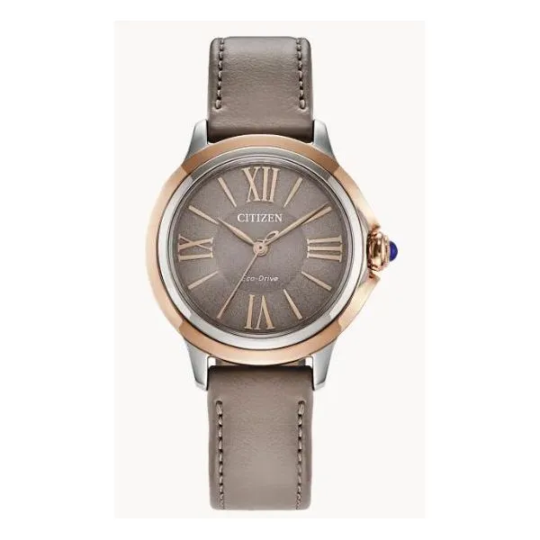 Watch Ray Jewelers Elmira, NY