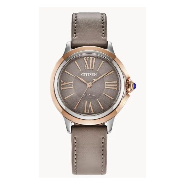 Watch Ray Jewelers Elmira, NY