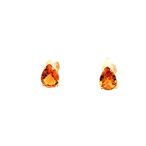 Beautifully golden citrine earrings Reed & Sons Sedalia, MO