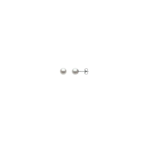 14K White Gold 5mm Freshwater Pearl Stud Earrings Reed & Sons Sedalia, MO