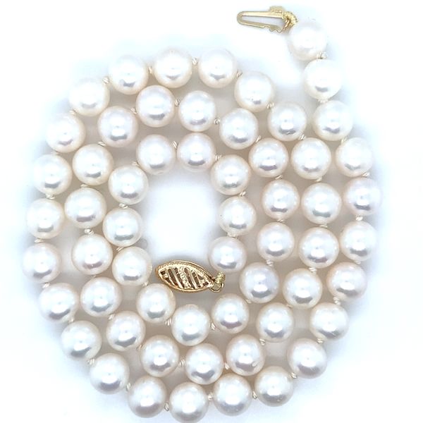 Strand Reed & Sons Sedalia, MO