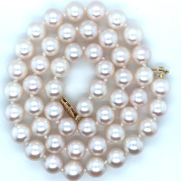 Strand Reed & Sons Sedalia, MO