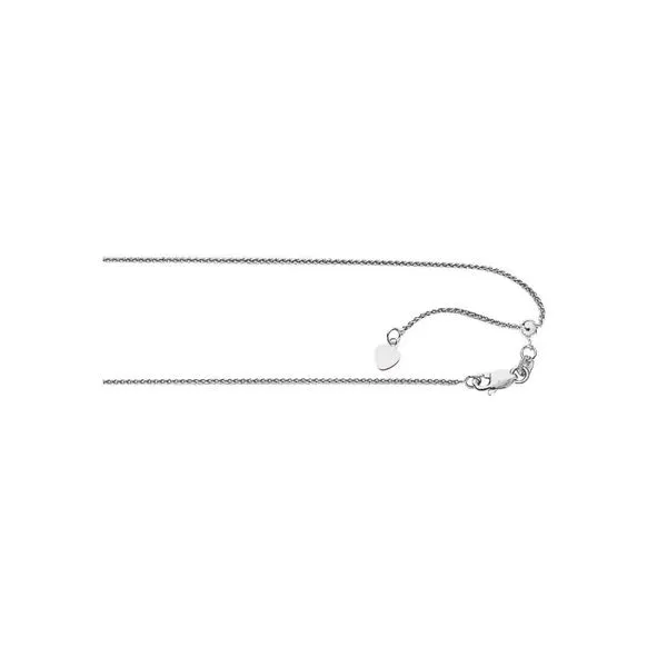 Chain Reflections In Gold Venice, FL