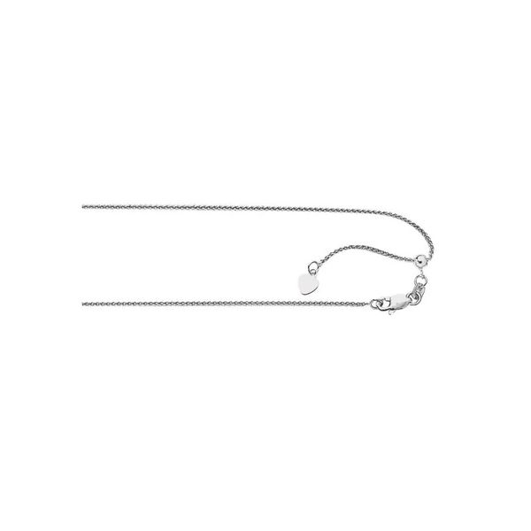 Chain Reflections In Gold Venice, FL