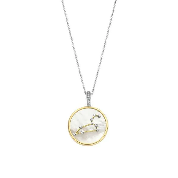 Silver Necklace Reflections In Gold Venice, FL