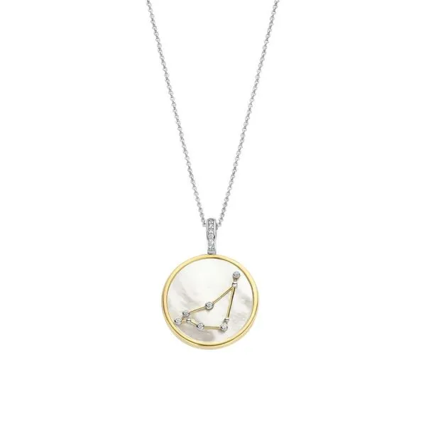 Silver Necklace Reflections In Gold Venice, FL