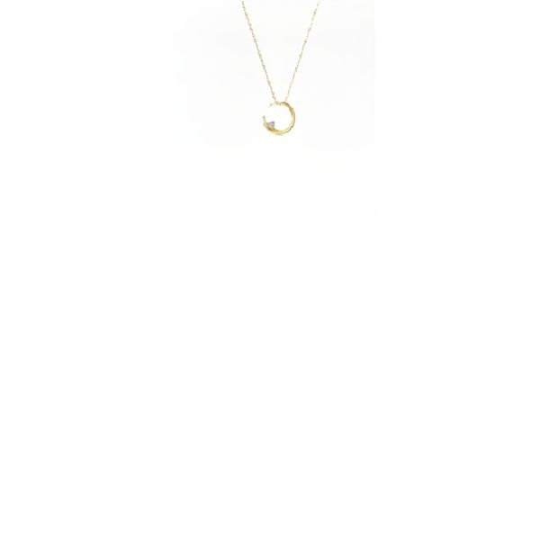 Silver Necklace Reflections In Gold Venice, FL
