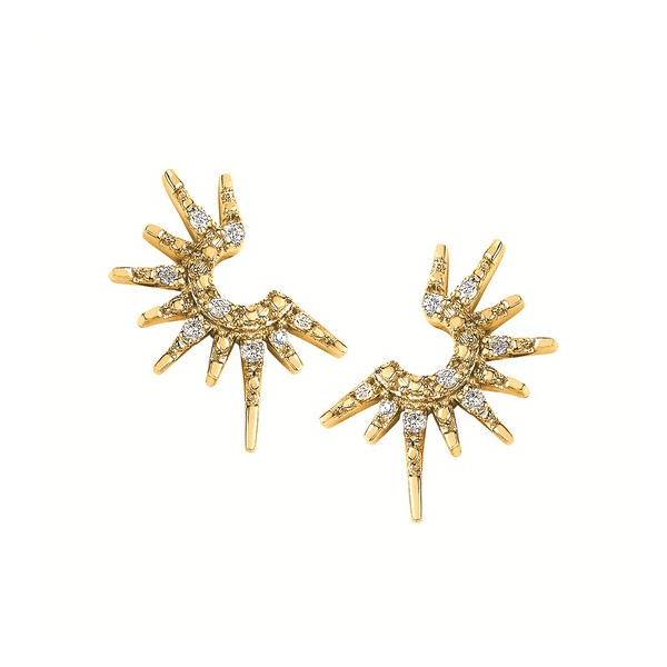 Diamond Ring Reiniger Jewelers Swansea, IL